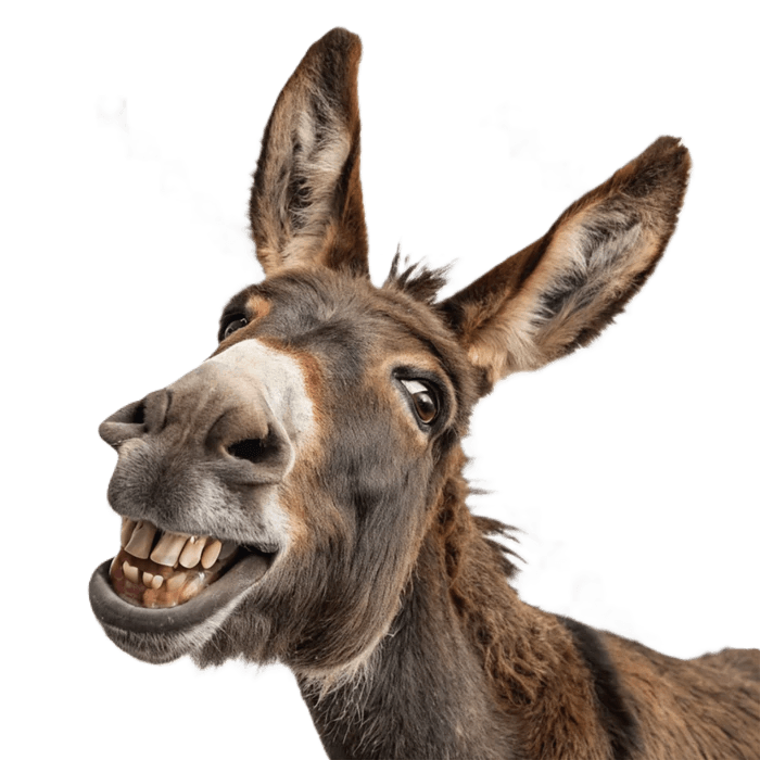 Gecici olarak kapali